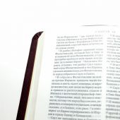 Библия с неканоническими книгами 045 DC (фиолетовый переплет из искусственной кожи, золотой обрез)